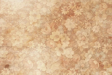 Floral Backgrounds Texture Download Free HD 2