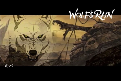 Wolfs Rain Wallpapers   Wallpapers Cave