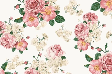 Floral Wallpapers Hd Backgrounds   Fullwidehd.com