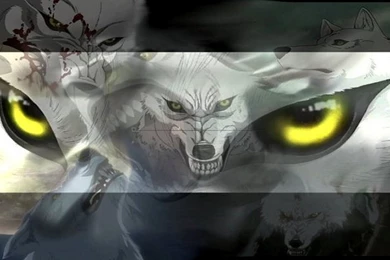 Wolf's Rain 1440x900   Wolf's Rain Wallpapers (3461305)   Fanpop