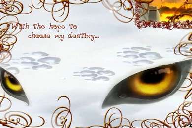 Wolf's Rain 1440x900   Wolf's Rain Wallpapers (3461306)   Fanpop