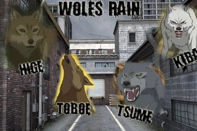 Wallpapers   Wolf's Rain Photo (14179323)   Fanpop