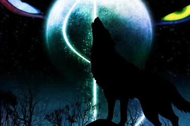 Wallpapers Amine Wolf Wolfs Rain Jobspapa Com 1024x768
