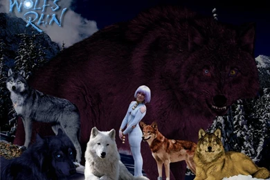 Wolfs Rain On SakuraOtakus   DeviantArt