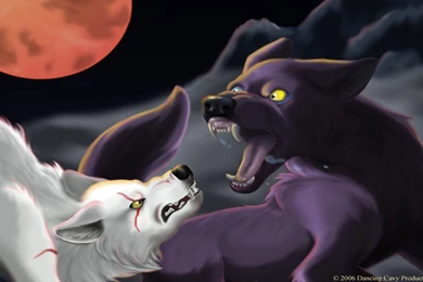 Wolf's Rain 1440x900   Wolf's Rain Wallpapers (3461308)   Fanpop