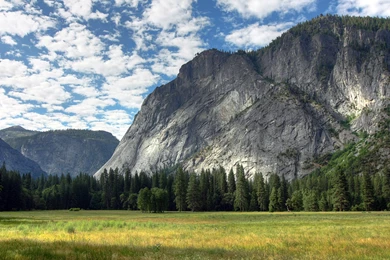 Yosemite Meadows Wallpapers