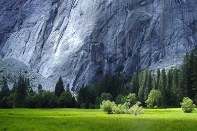 1920 X 1080 Yosemite Wallpapers Bing Images