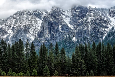1200x800 Yosemite Browser Themes & Desktop Pics
