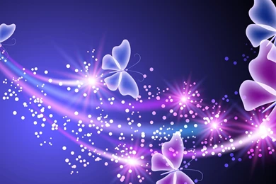 Butterfly Wallpapers Pictures Widescreen   Fullwidehd.com