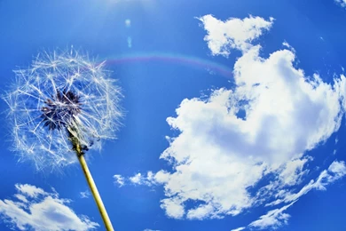 Desktop Wallpapers · Gallery · Windows 7 · Backgrounds Windows 7 ...