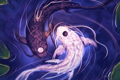 Yin Yang Live Wallpapers   Android Apps On Google Play