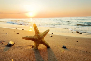 Beautiful Beach Sunset