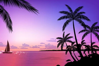 Tropical Beach Sunset Wallpapers