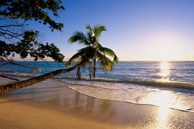 Beach Wallpapers   Rakaruan.com: Beach For Android Wallpapers Wide ...