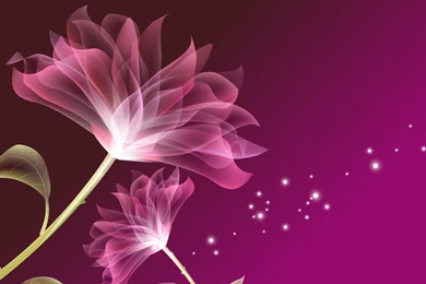 Purple Flower Wallpapers Collection (38+)