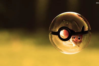 Pokeball Wallpapers » WallDevil   Best Free HD Desktop And Mobile ...