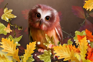 Cutefall Wallpapers Free   Kemecer.com