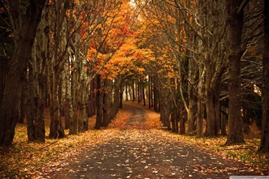 Late Autumn HD Desktop Wallpapers : High Definition : Mobile : Dual ...