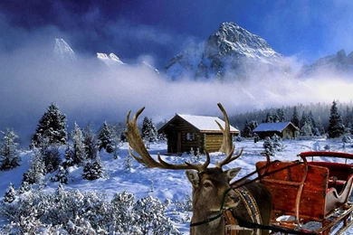 Winter Holiday Scenes Wallpapers