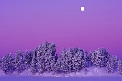 Christmas Winter Scenes Wallpapers Free