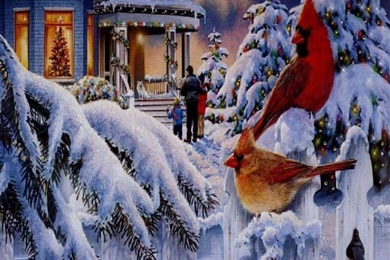 Beautiful Christmas Scenes