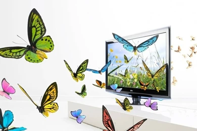 Butterfly,digital Art Butterfly Digital Art Screen 1024x768 ...