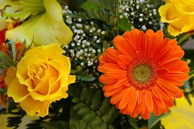 Pictures Of Beautiful Flowers Wallpapers   Black And White ...