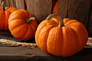 Fall Pumpkin Wallpapers Hd