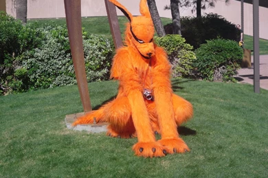 Top Tail Kyuubi Naruto Wallpapers Wallpapers