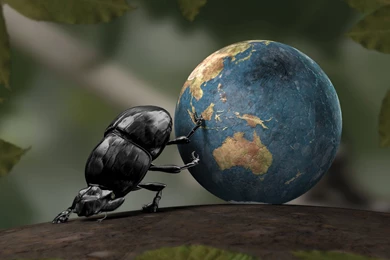 Desktop Wallpapers · Gallery · Windows 7 · Who Is Pushing Us ...