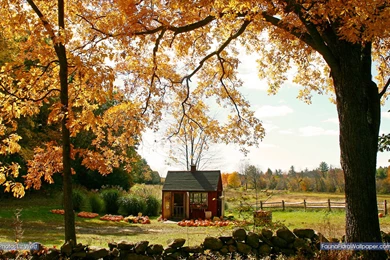 Fall Scenery Wallpapers With Pumpkins