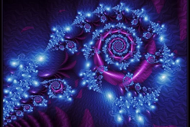 Purple Rose Wallpapers