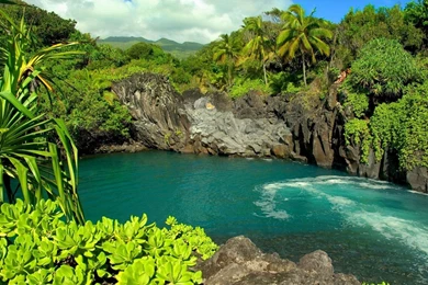 Hd Wallpapers Free Nature Wallpapers Nature Desktop 5 Nature