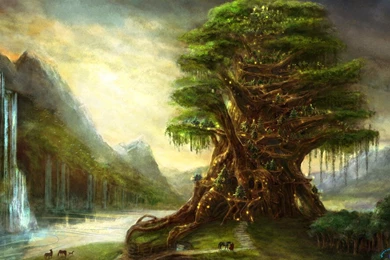 Download Wallpapers Magical Tree (1440 X 900 Widescreen). Desktop ...