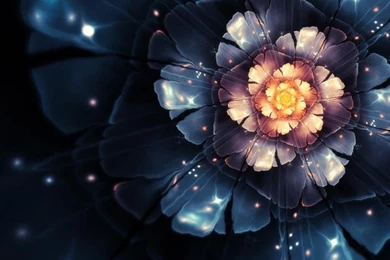 Magic Flower Wallpaper,Magic Flower HD Wallpaper,wallpapers HD ...