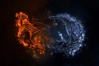 Wallpapers Magical Animals Fantasy Image