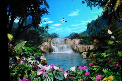 Magical Backgrounds   Wallpapers Zone