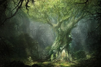 Magical Trees Live Wallpapers   Android Apps And Tests   AndroidPIT