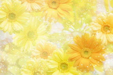 Free Wedding Backgrounds