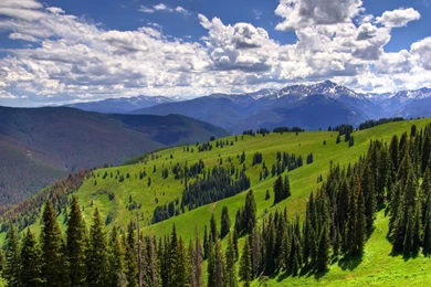 Top 10 3D HD Wallpapers