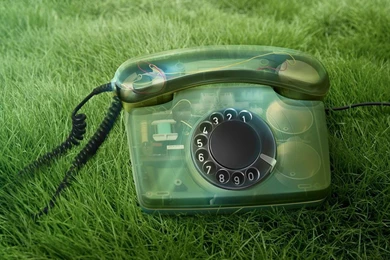 Download Wallpaper: Phone Ongrass, Photo, Download, Wallpapers For ...