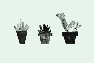 Desktop Wallpapers On Pinterest