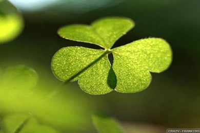 Top Pink Floyd Pokemon Phone Backgrounds Wallpapers