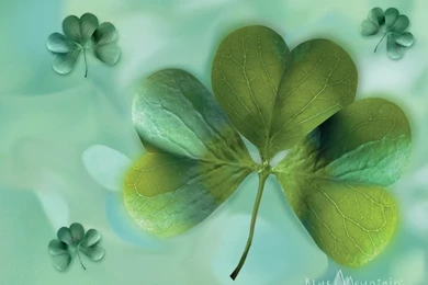 Trololo Blogg: Clover Wallpapers Desktop