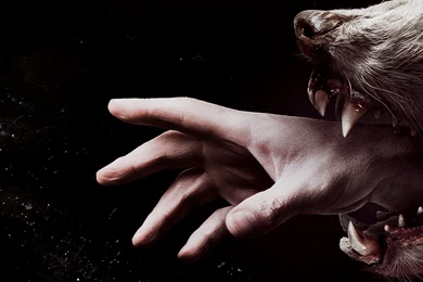 Get Gory With Hemlock Grove