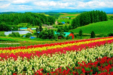 Amazing And Beautiful Wallpapers Of Natural ScenesPhotography Heat ...