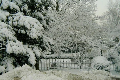 Amazing Winter Scene