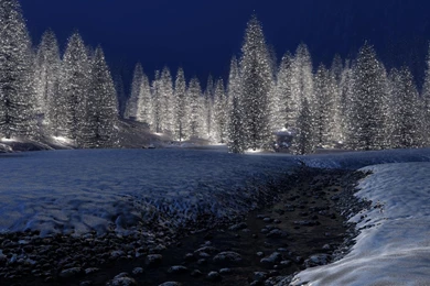 Free Desktop Wallpapers Winter Scenes   Wallpapers Cave