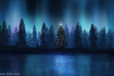 Winter Scenery Wallpapers