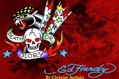 Wallpapers Ed Hardy Graphics Code Comments Pictures 1024x768 ...